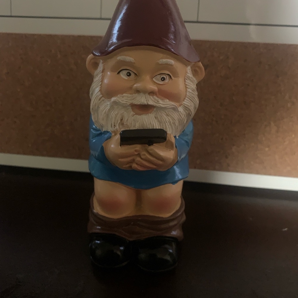 Brown gnome holding a phone. Paranoid Gnome.

- Garden Gnome